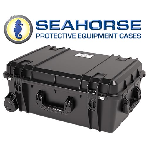 Seahorse Cases